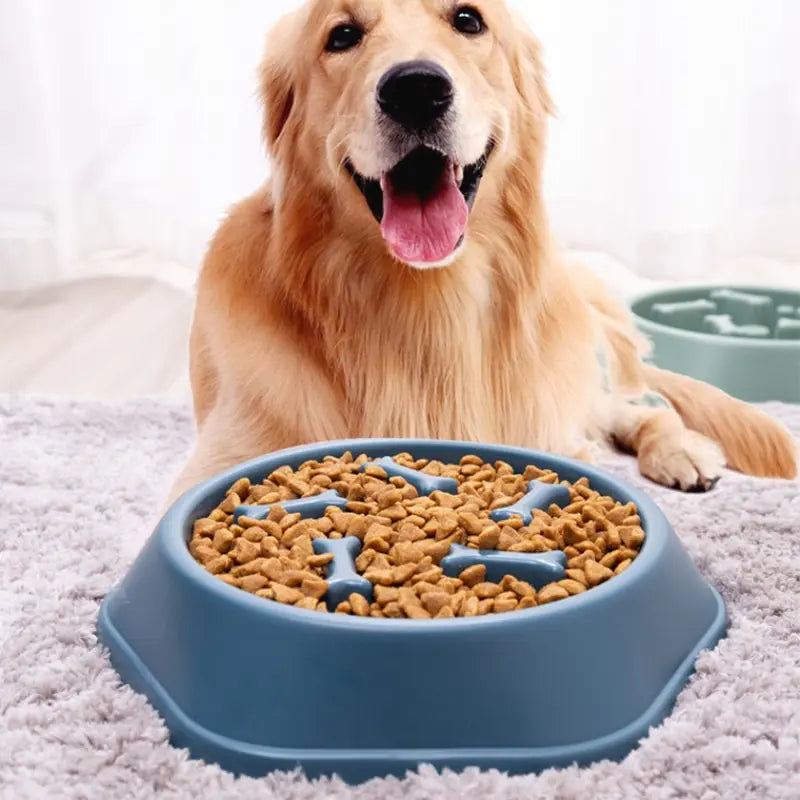 Make Mealtime More Enjoyable with a Slow Feeder Pet Bowl