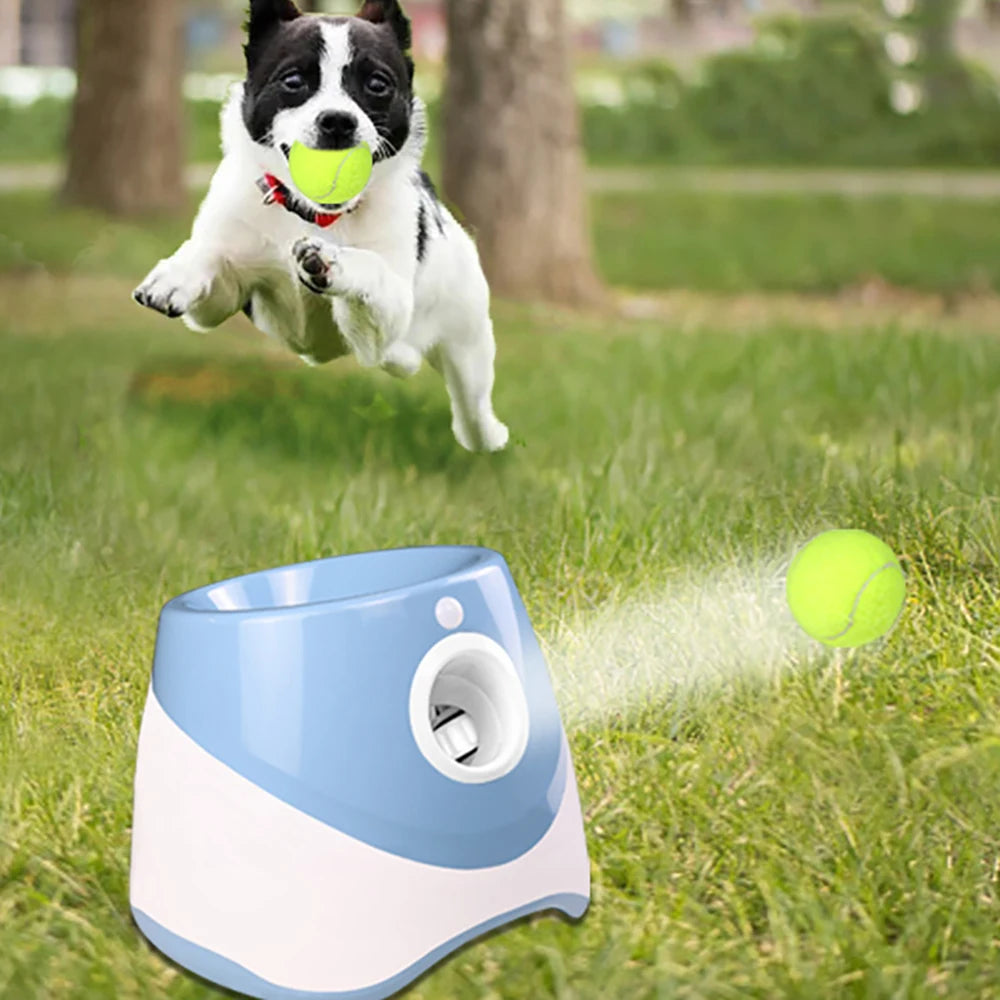 Keep Your Dog Active and Engaged with an Automatic Tennis Ball Launcher