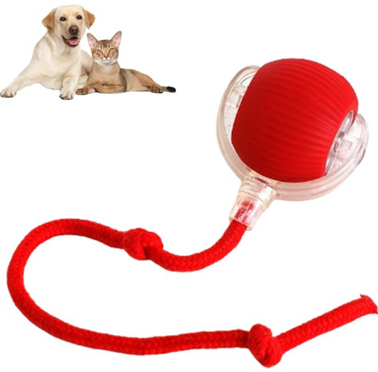 Beat Boredom with a Smart Rolling Pet Ball for Dogs